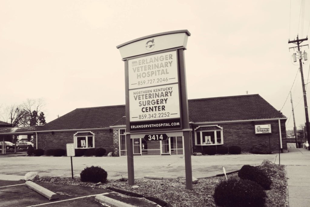 Erlanger Veterinary Hospital Erlanger, Kentucky Dr. Stanley Hastings