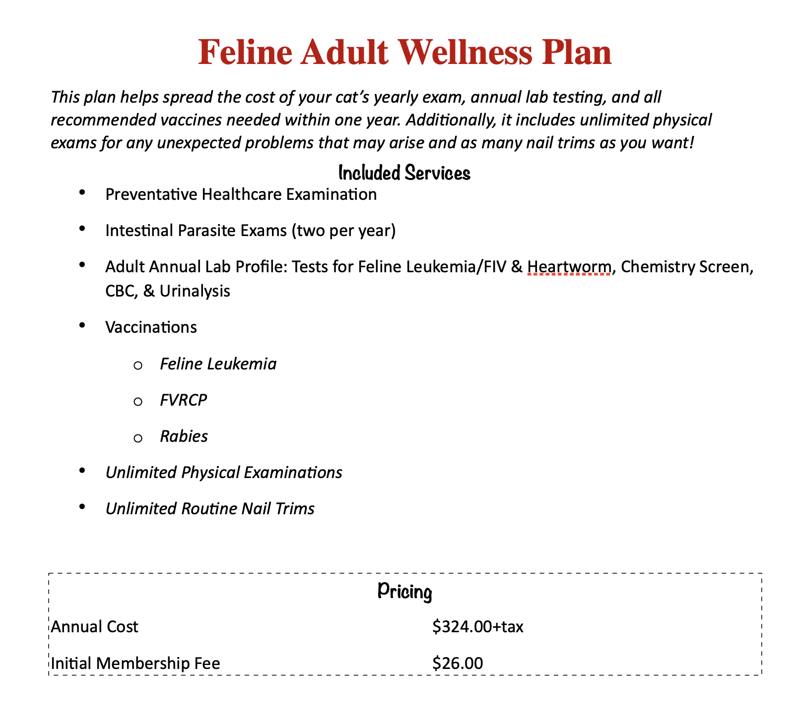 Preventative Care Plans - Erlanger Veterinary Hospital - Erlanger, KY Vet