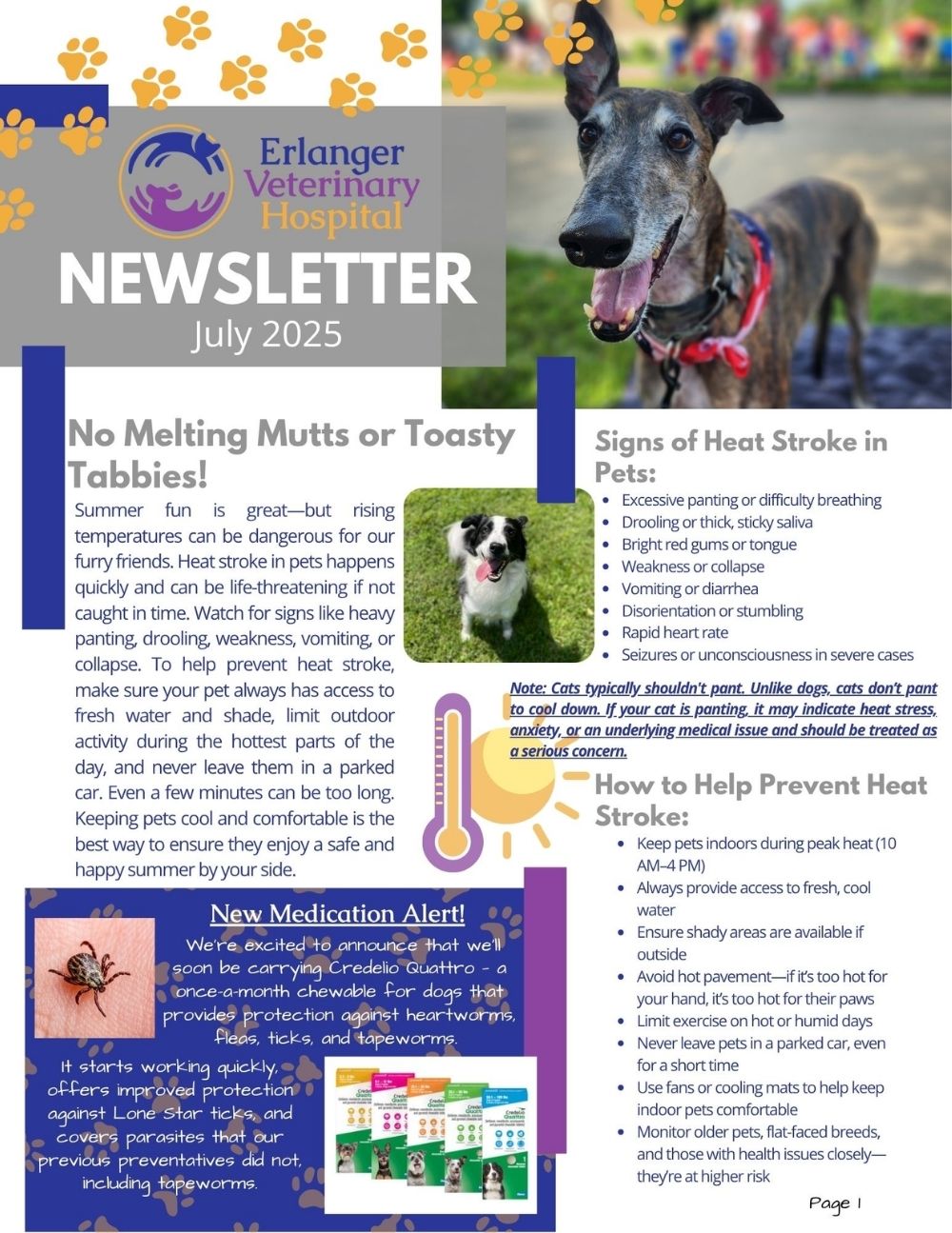 July Newsletter