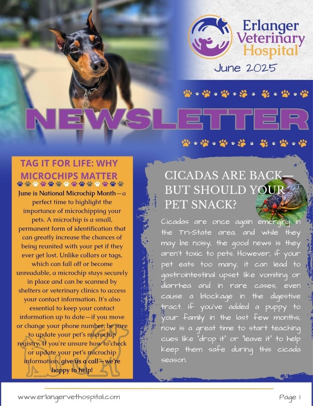 June newsletter