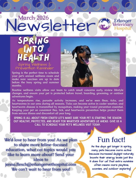 March Newsletter preview