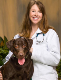 Dr. Jamie Todd