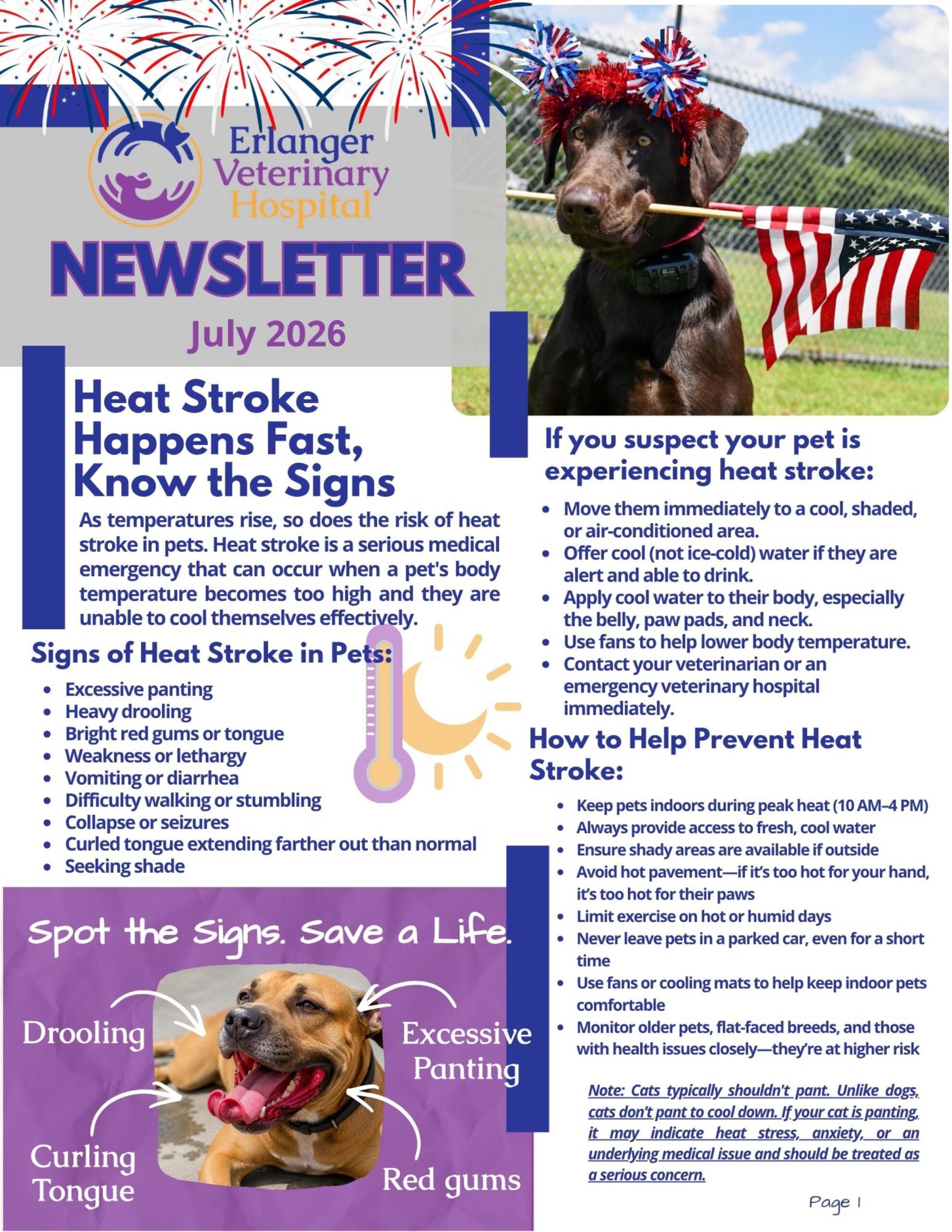 https://erlangervethospital.com/wp-content/uploads/2026/07/July-2026-Newsletter.pdf