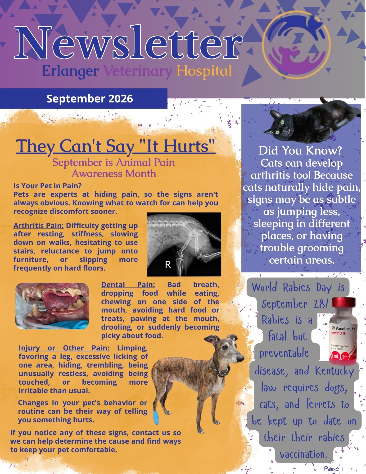 https://erlangervethospital.com/wp-content/uploads/2026/07/July-2026-Newsletter.pdf